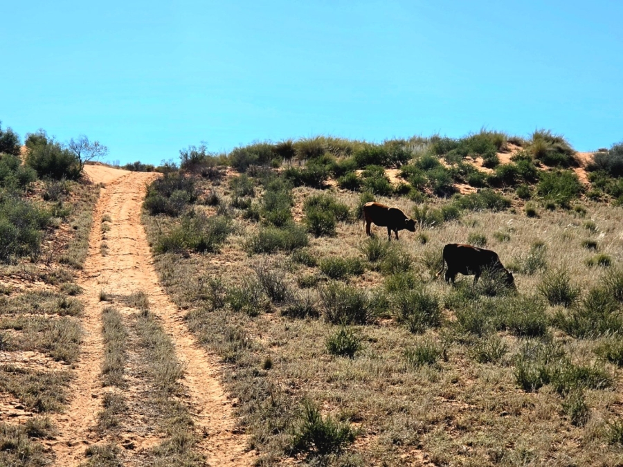 Commercial Property for Sale in Upington Rural Northern Cape